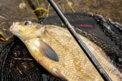 Ultimate Allround Power Feeder -Hengelsport Winkel 01299b08f65e9c2a