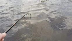 Patriot Pike Specialist Hyrräkelavapa Baitcasthengel 2.44m (15-75g)