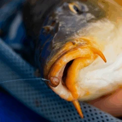 Fjuka Natural 2in1 200gram 9 Fjuka Natural 2in1 200gram -Hengelsport Winkel 173e3a2163a6a35f