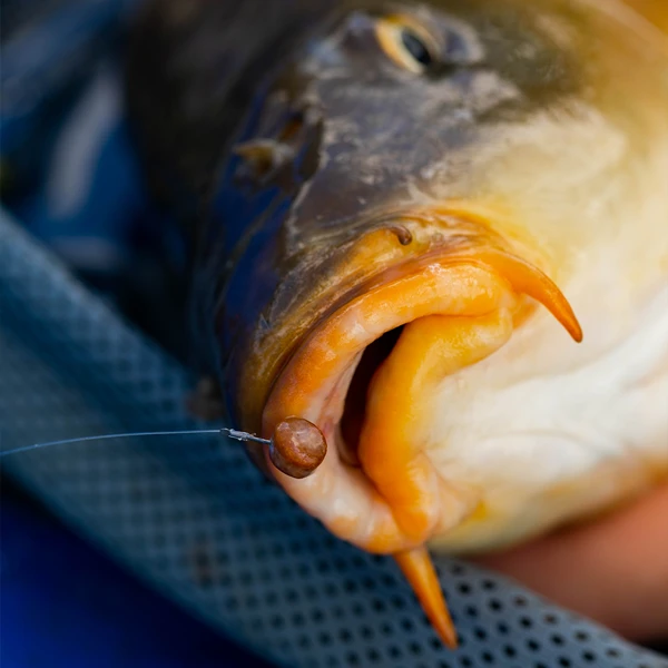 Fjuka Natural 2in1 200gram 5 Fjuka Natural 2in1 200gram - Afbeelding 3