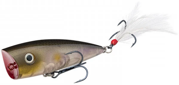 Strike King KVD Splash Clearwater Minnow 3 Strike King KVD Splash Clearwater Minnow