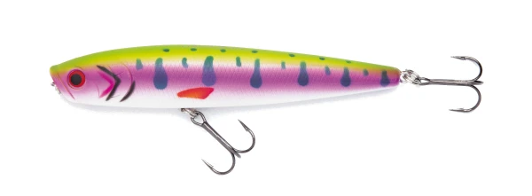 Jackson Minnow Pop Rainbow Trout 3 Jackson Minnow Pop Rainbow Trout