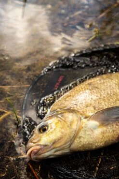 Ultimate Pannet 50x40cm