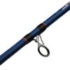 Mitchell Rod Riptide R 212 100/300 Dorade 1 Mitchell Rod Riptide R 212 100/300 Dorade -Hengelsport Winkel 7a1dd4b52902f182