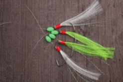 Aquantic Makerel Circle II