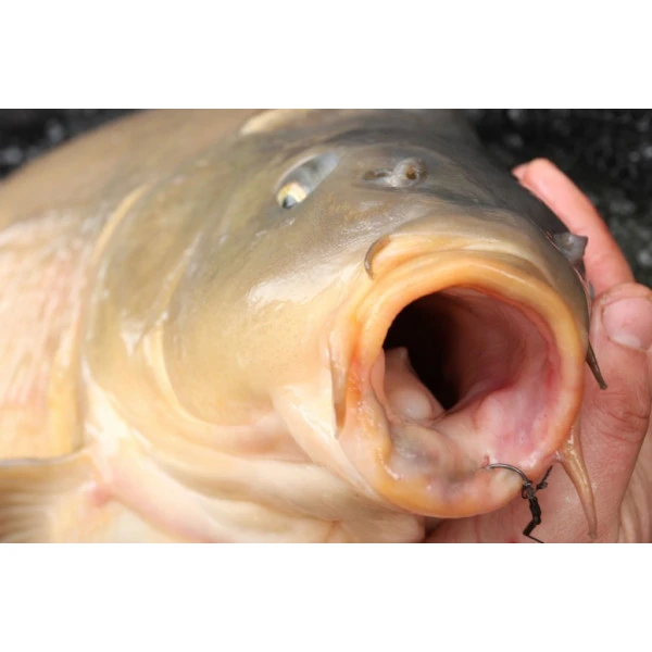 Korda Mixa Hook Size 8 3 Korda Mixa Hook Size 8