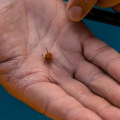 Fjuka Natural 2in1 200gram 11 Fjuka Natural 2in1 200gram -Hengelsport Winkel d63055fda4442628