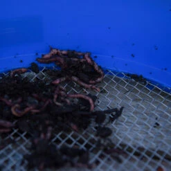 Cresta Supa Riddle Square Mesh