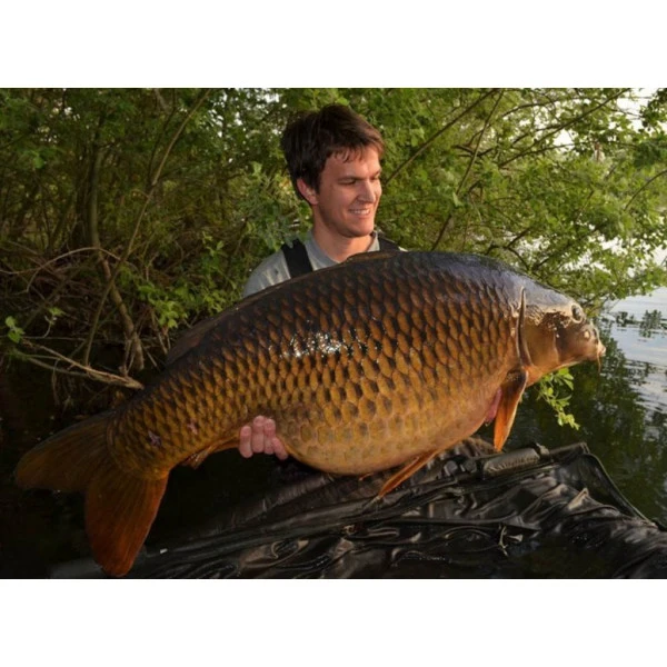 Korda Dark Matter Braid 30lb 3 Korda Dark Matter Braid 30lb